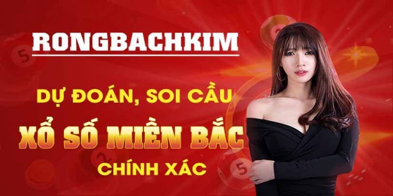 Chia sẻ kinh nghiệm từ các cao thủ soi cầu rồng bạch kim